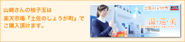 R肳̂䂸ʁFŷ傤