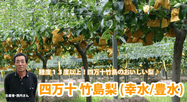 四万十 竹島梨 (幸水/豊水)