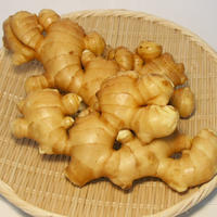 日本一の生産量を誇る最高の気候・土壌で育った珍しい大生姜!とさのひかり(1kg)