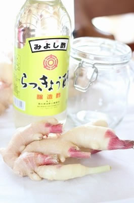 おうちで手作り甘酢生姜