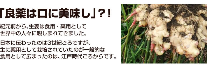 ǖ͌ɔHI